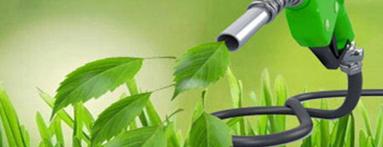 Biocombustibles